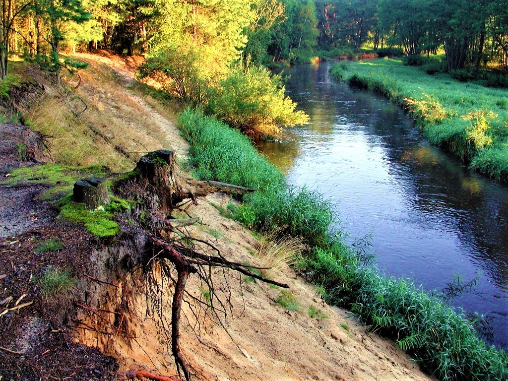 The river of Luza. jigsaw puzzle online