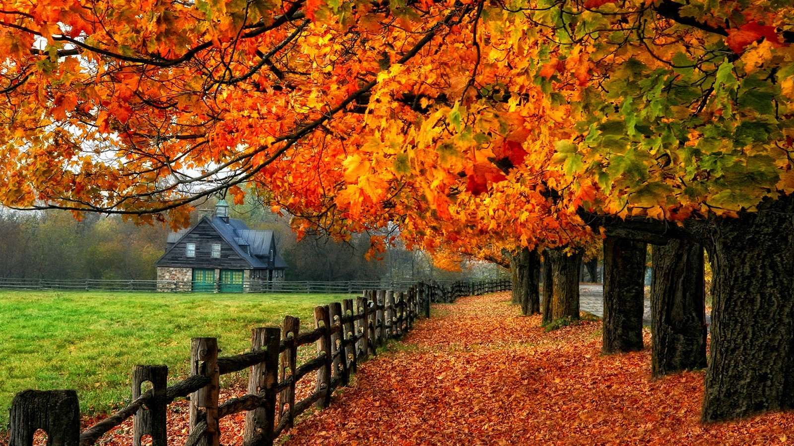 Barevné stromy na podzim. online puzzle