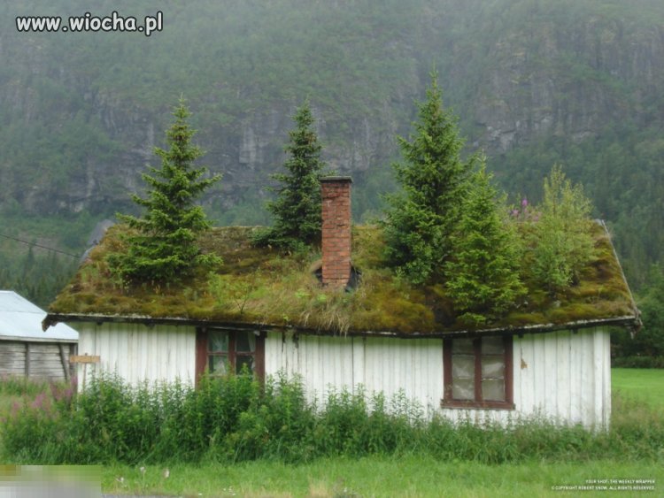Ein Haus in Norwegen. Puzzlespiel online