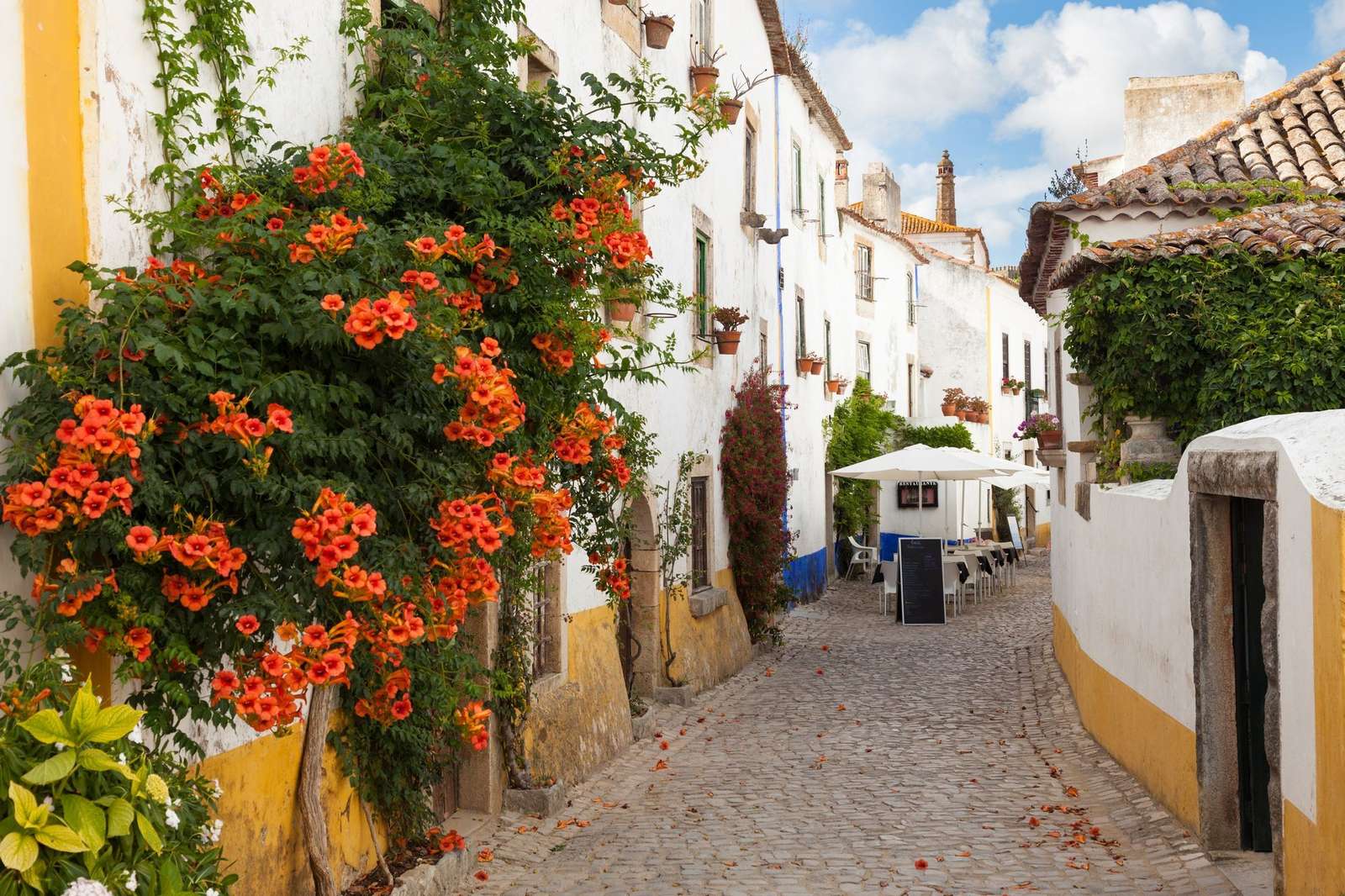 The town of Obidos. jigsaw puzzle online