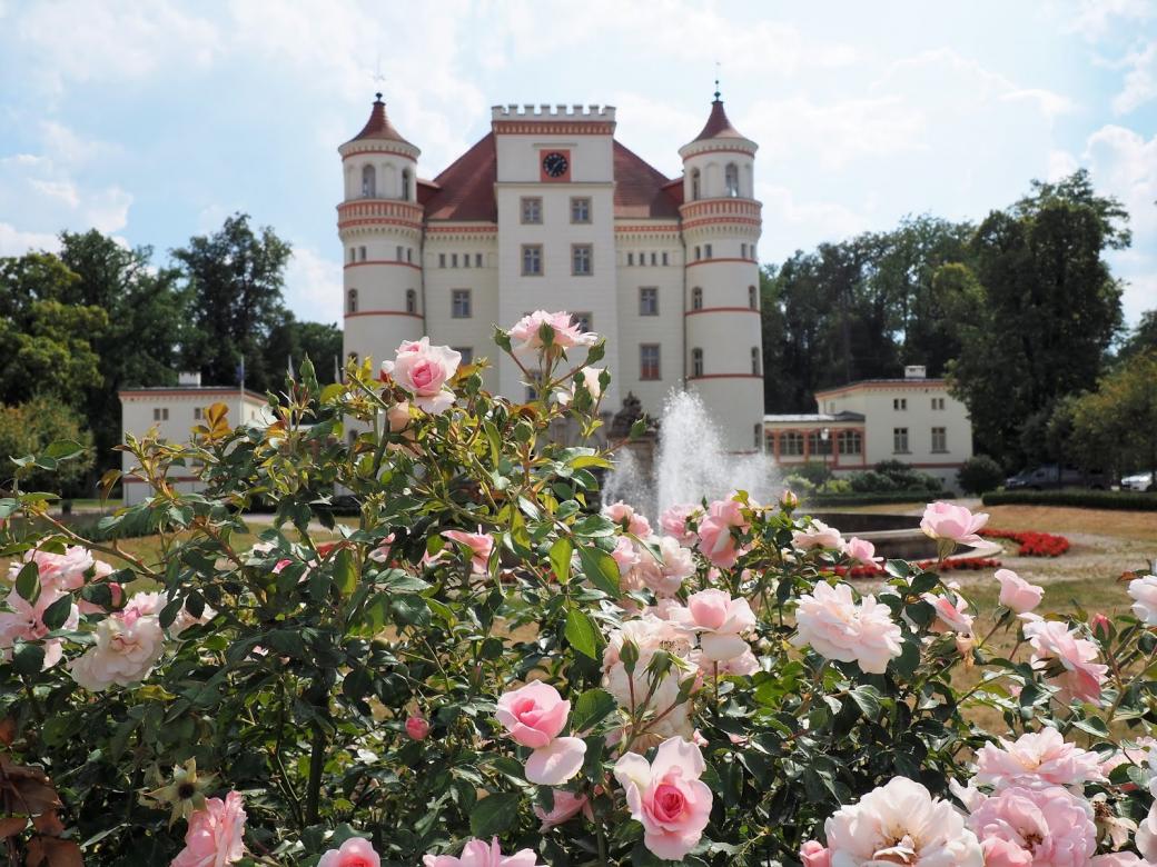 Palast in Jelenigórski. Puzzlespiel online