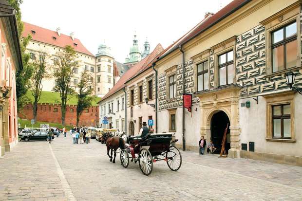Under the Wawel. jigsaw puzzle online