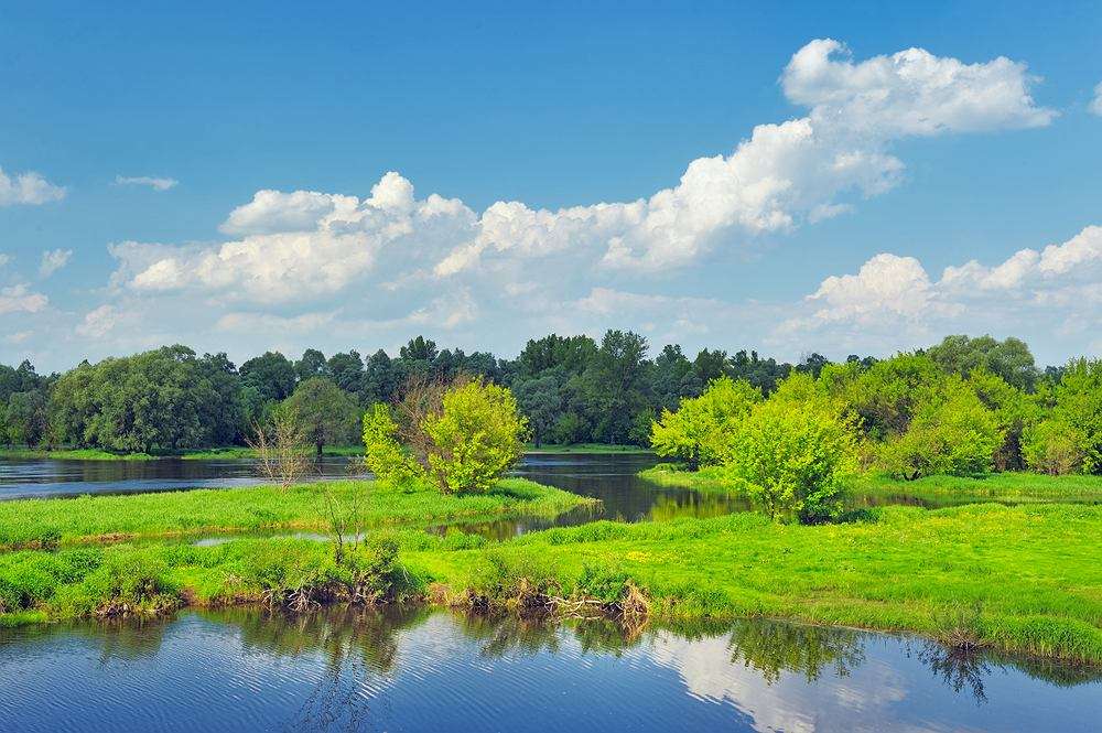 Narew Valley. jigsaw puzzle online