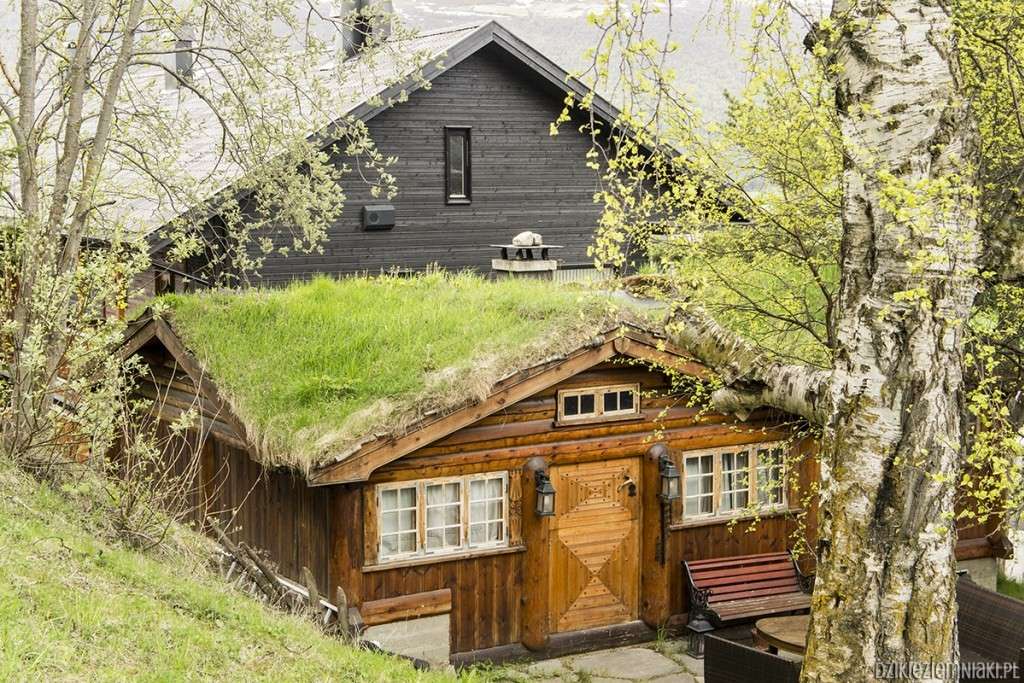 Cottage en Norvège. puzzle en ligne