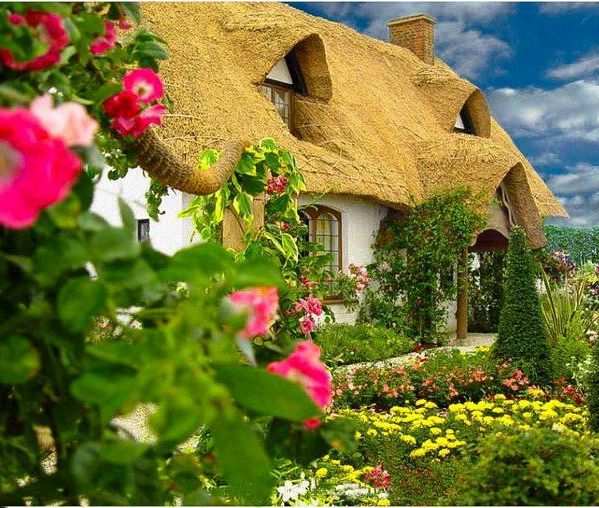 A small house. jigsaw puzzle online