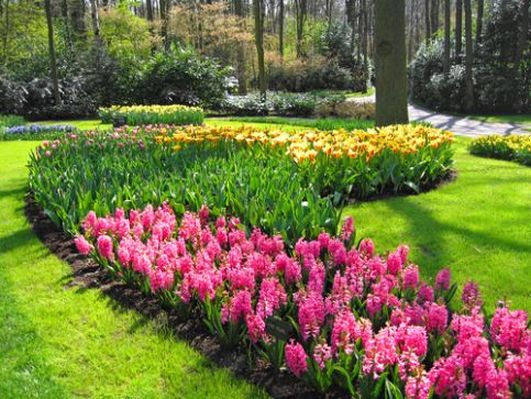 grădină botanică puzzle online