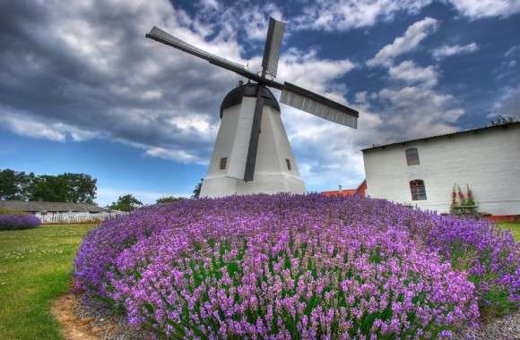 Větrný mlýn na Bornholmu. skládačky online