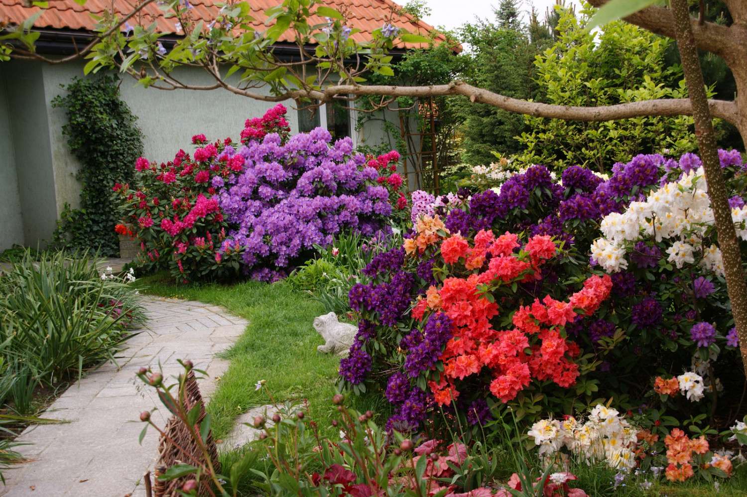 Flori în grădină. jigsaw puzzle online