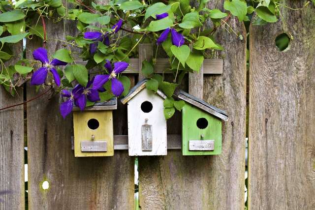 Къщи за птици. онлайн пъзел