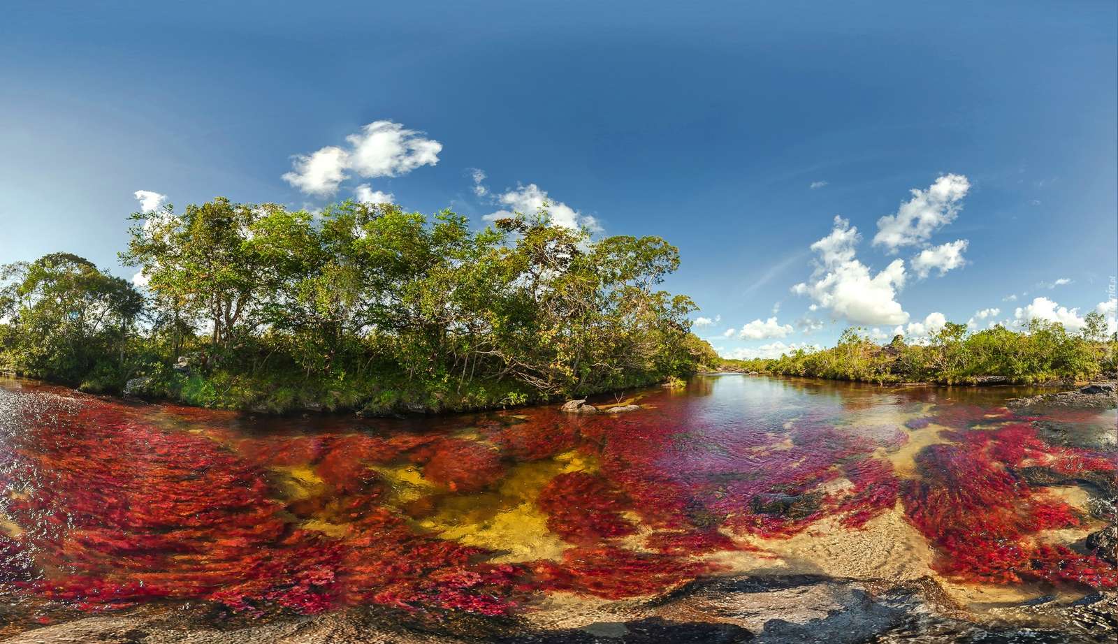 Colorful river. jigsaw puzzle online