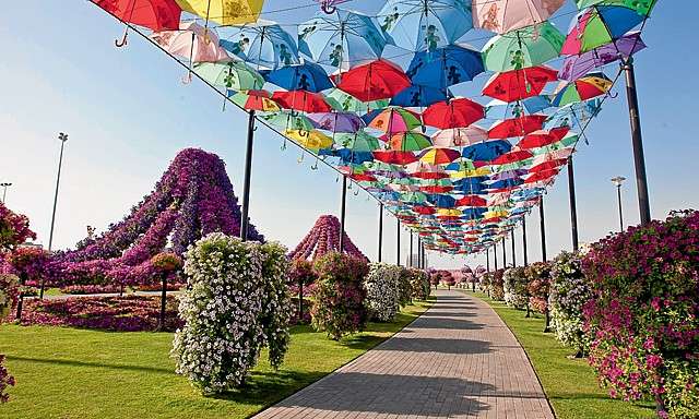 Цветочная ярмарка в Дубае. онлайн-пазл