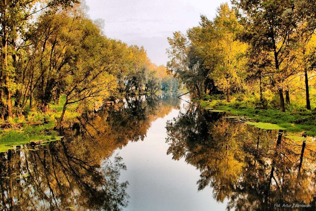 Río Liwiec. rompecabezas en línea