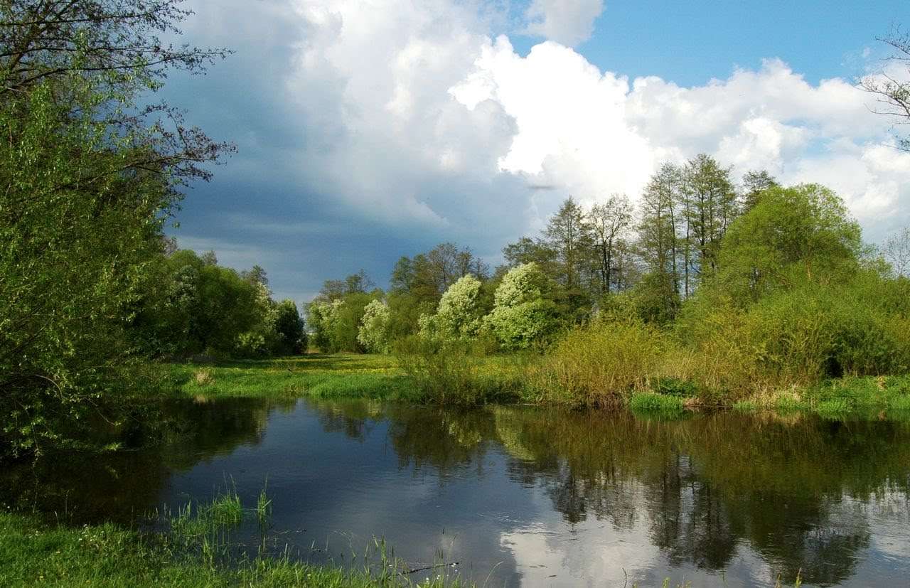 Ποταμός Kostrzyn. online παζλ