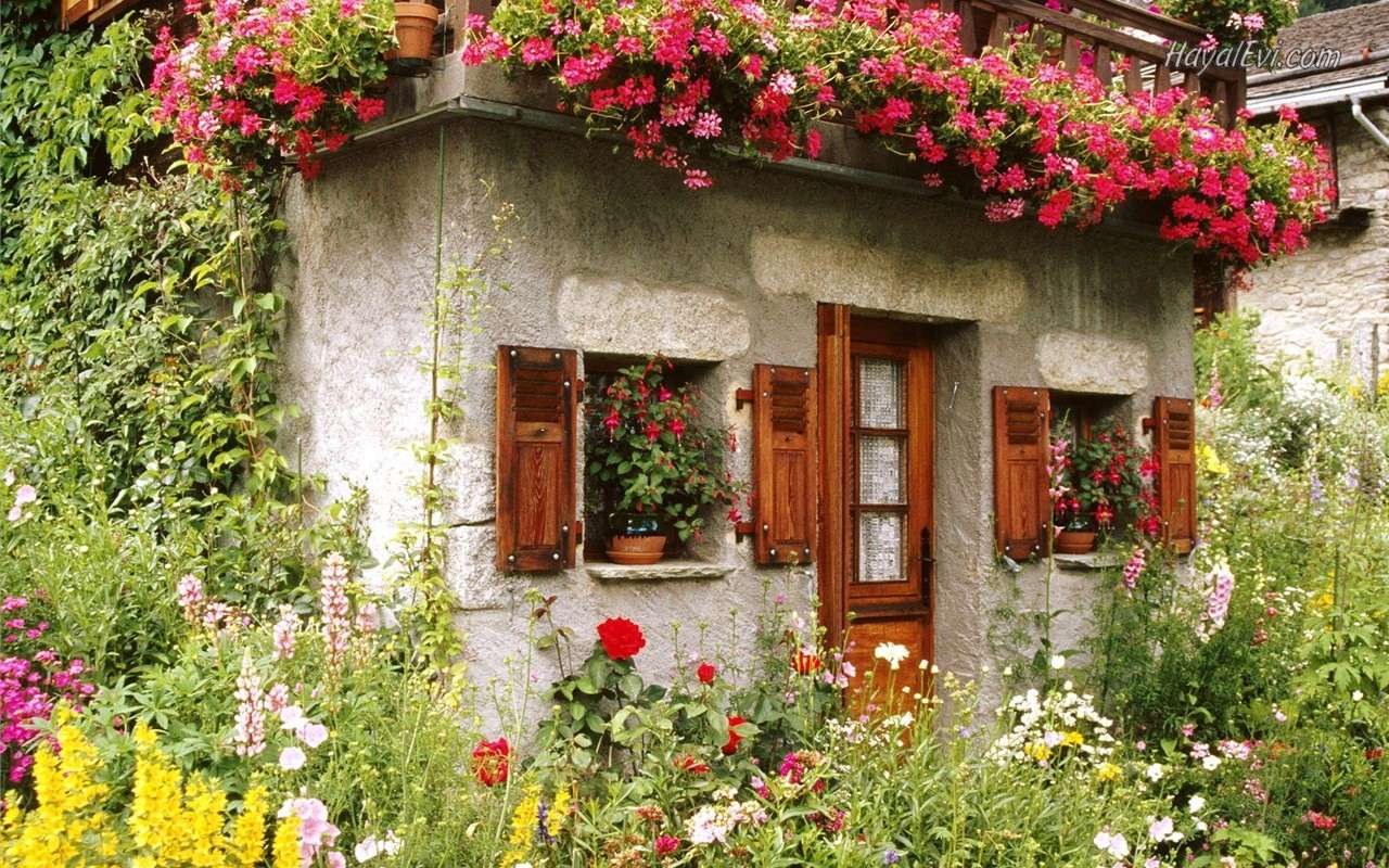 A small house. jigsaw puzzle online