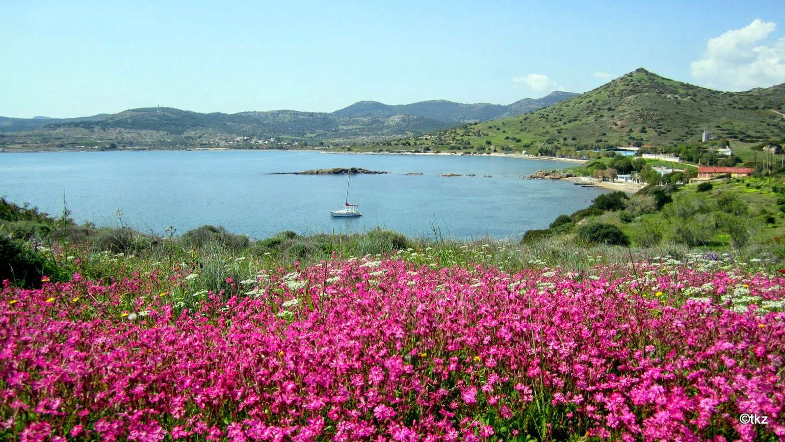 Grekiskt landskap. pussel på nätet