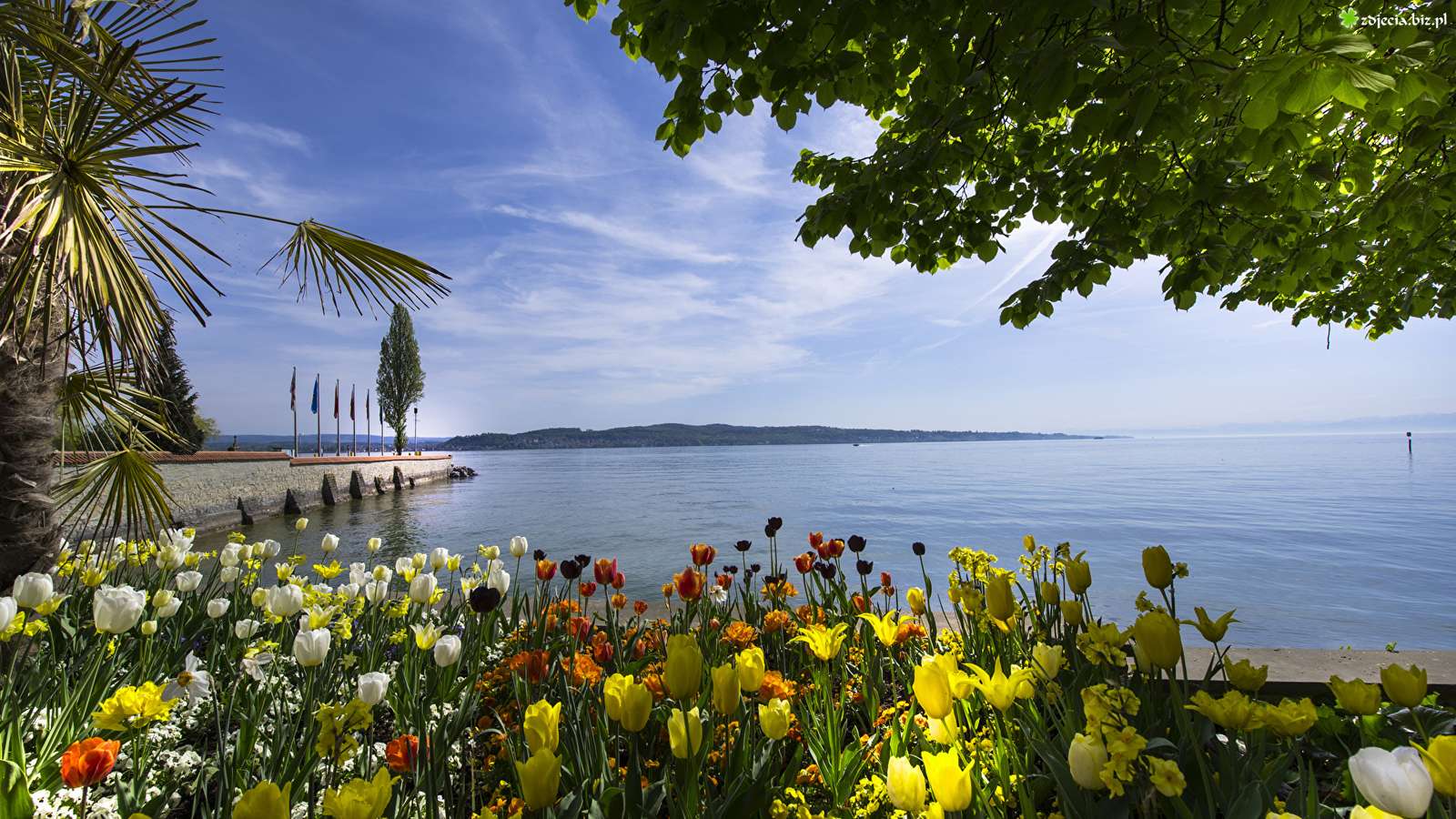 Lake Constance in Germany. jigsaw puzzle online