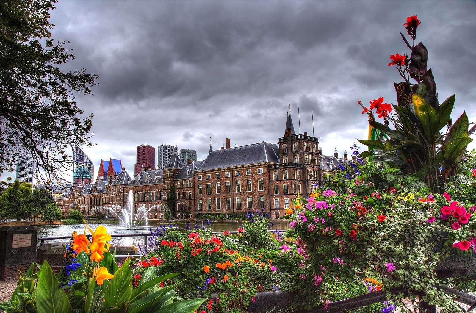 La Haye. Ville de fleurs. puzzle en ligne