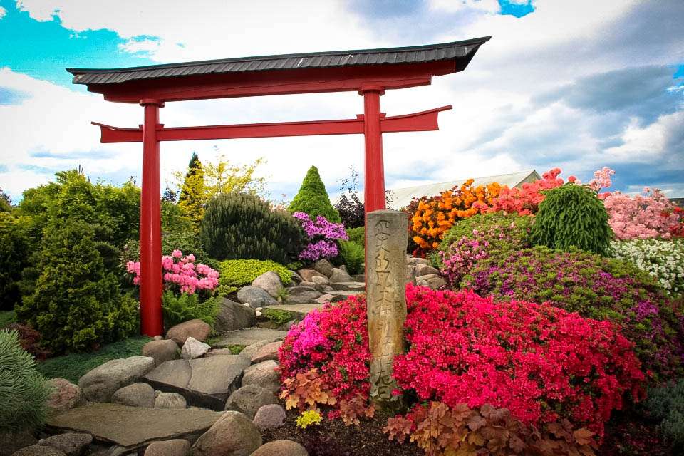 Ιαπωνικός κήπος. παζλ online