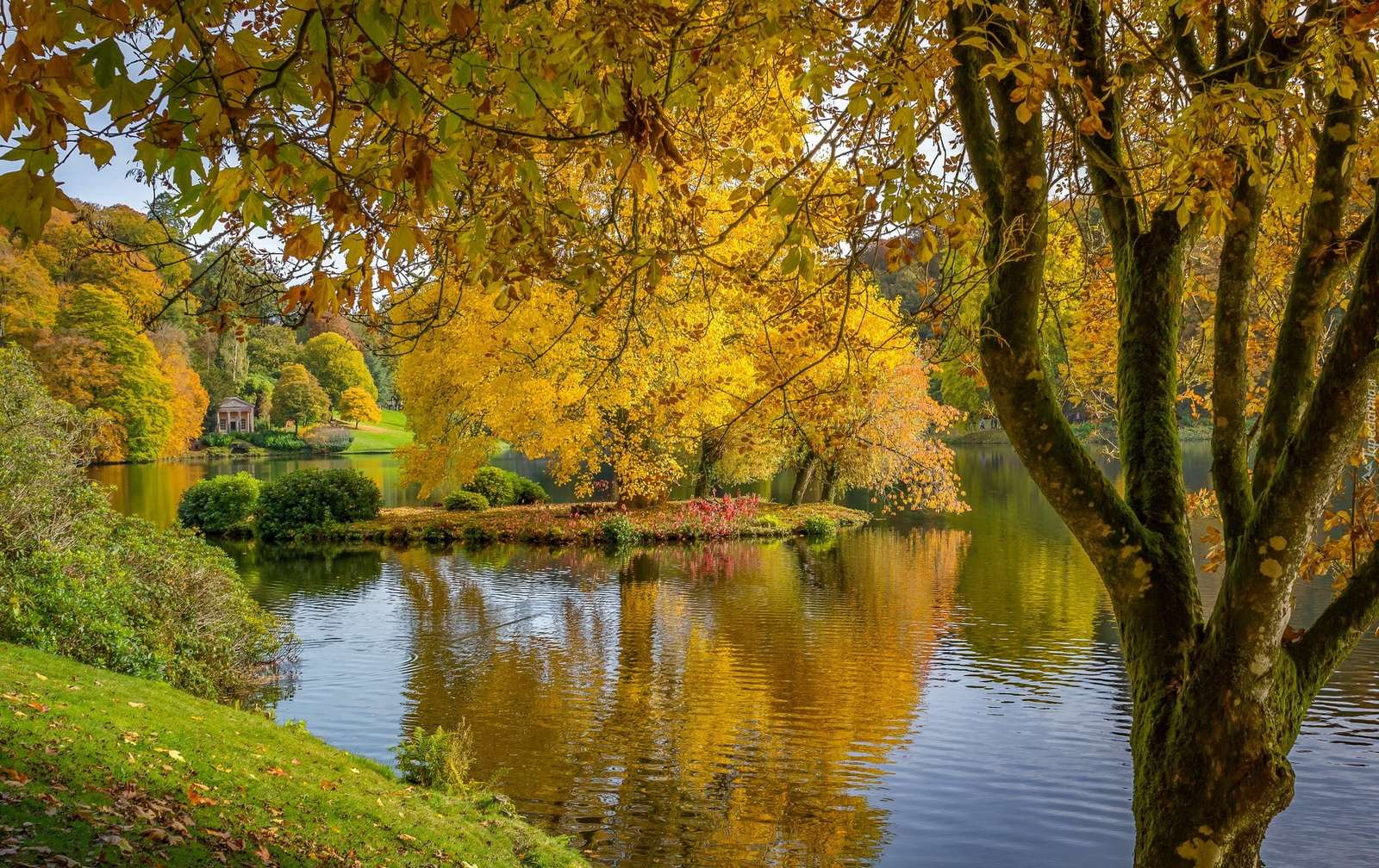 Park with a pond. jigsaw puzzle online