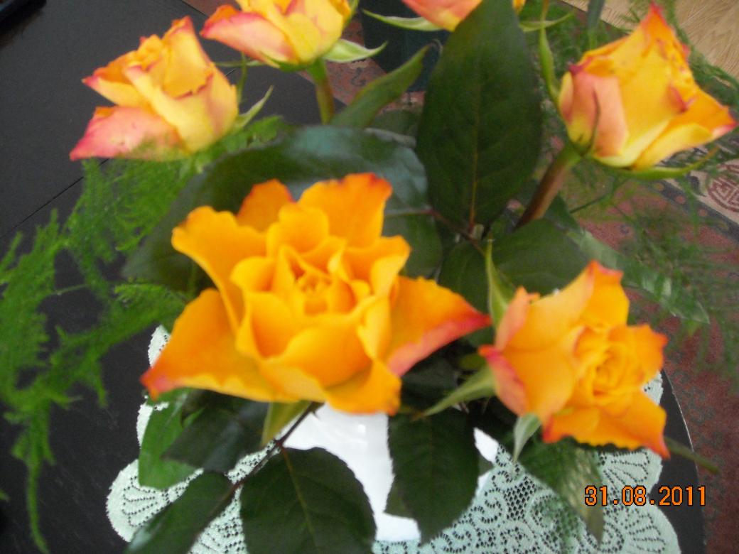 τριαντάφυλλα τσαγιού παζλ online