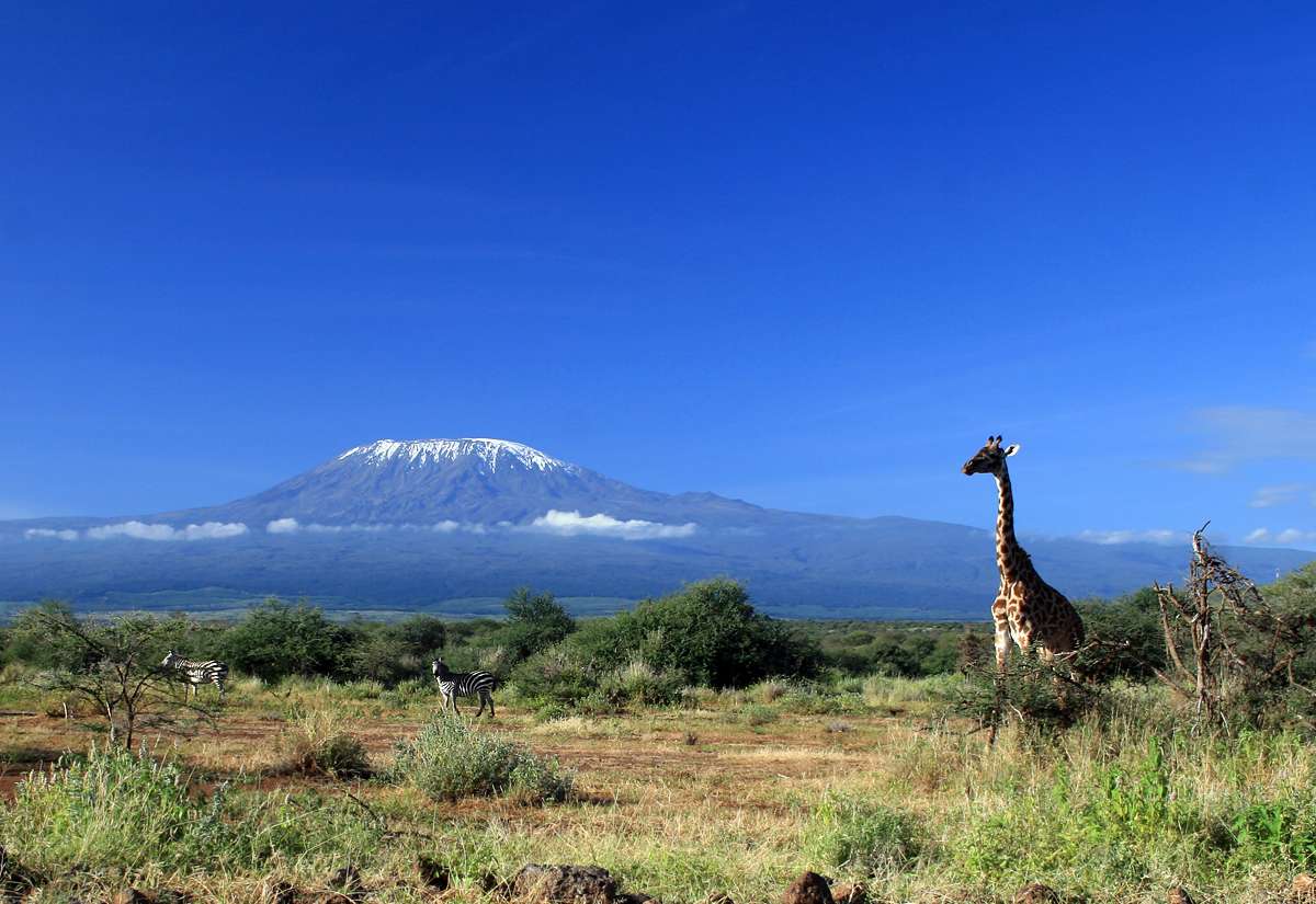 Kilimanjaro snö. pussel på nätet