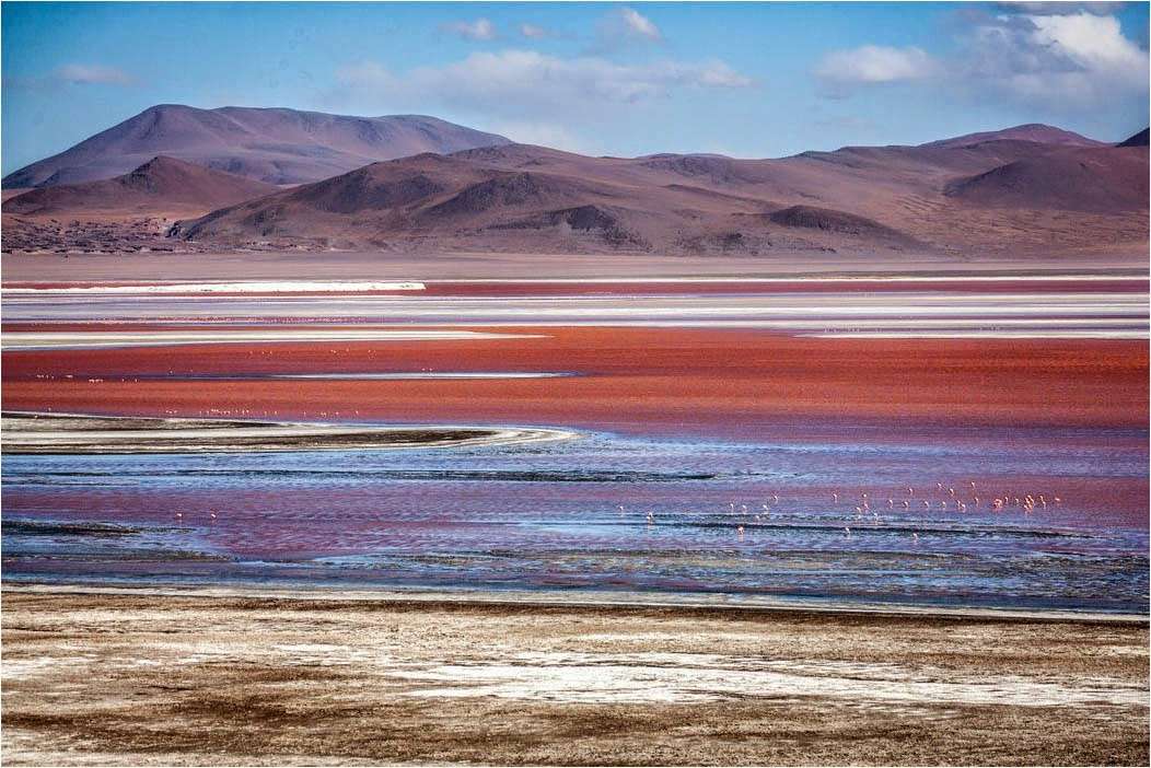 Laguna Colorada v Bolívii. skládačky online