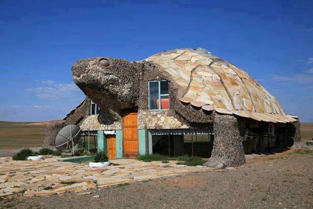 Casa di tartaruga puzzle online