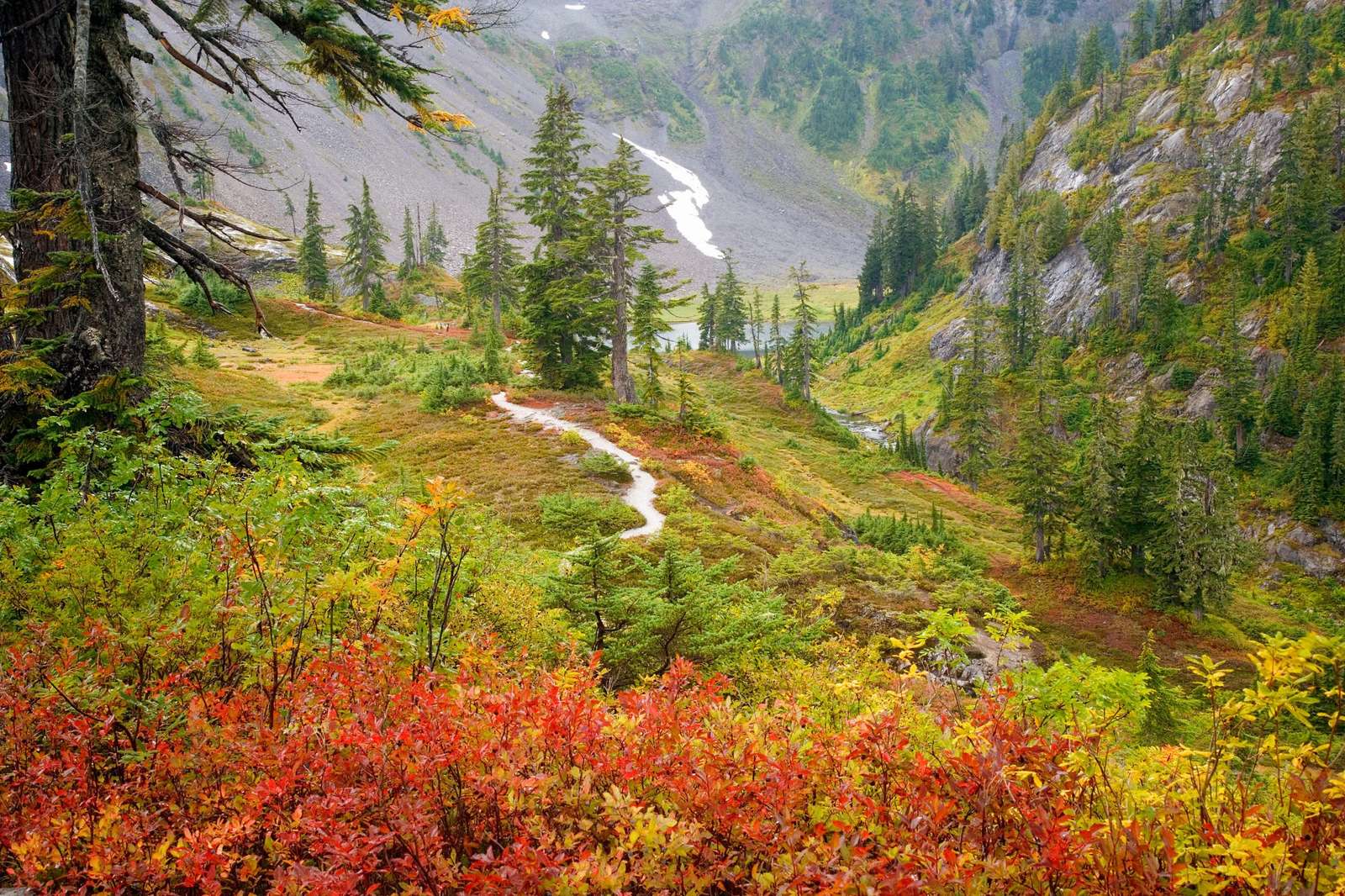 Herfst landschap. online puzzel