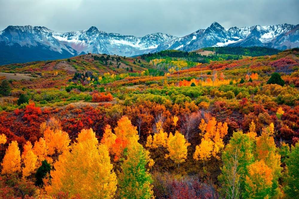 Панорама на Татра планина. есенни листа онлайн пъзел