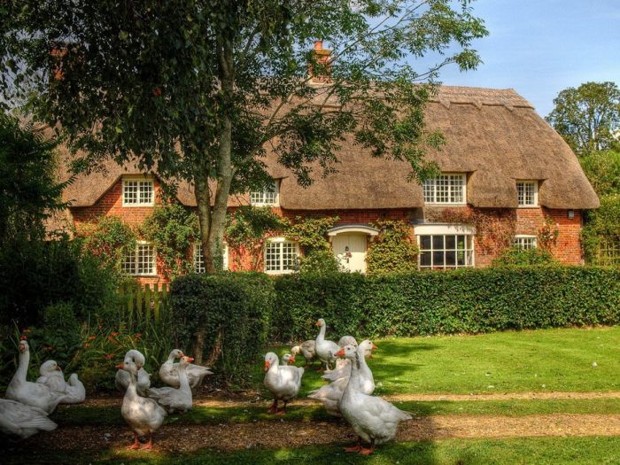 English countryside. jigsaw puzzle online