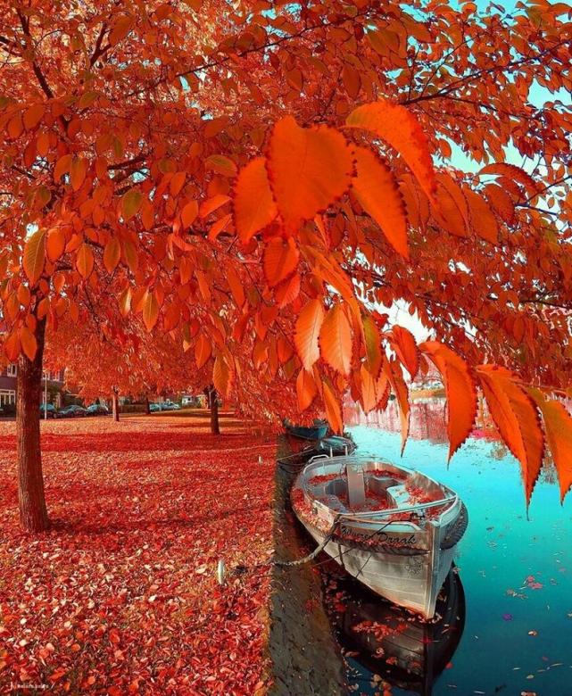 autumn at the lake jigsaw puzzle online