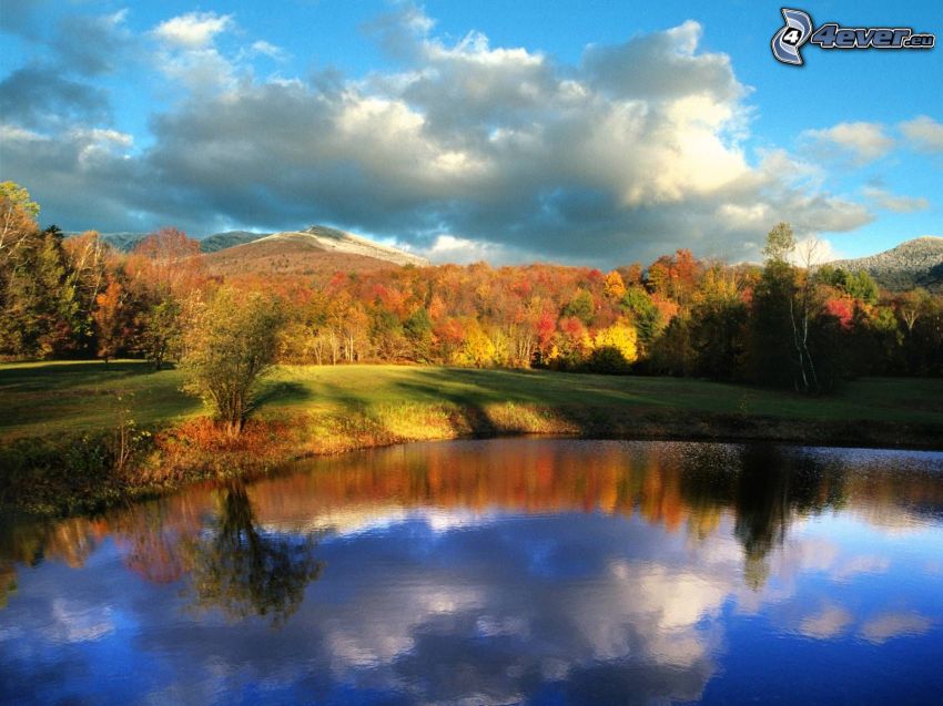 Autumnal landscape. online puzzle