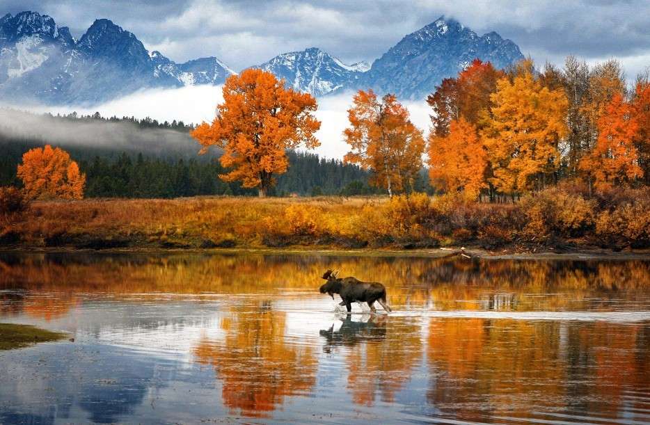 Wyoming. USA. online puzzle