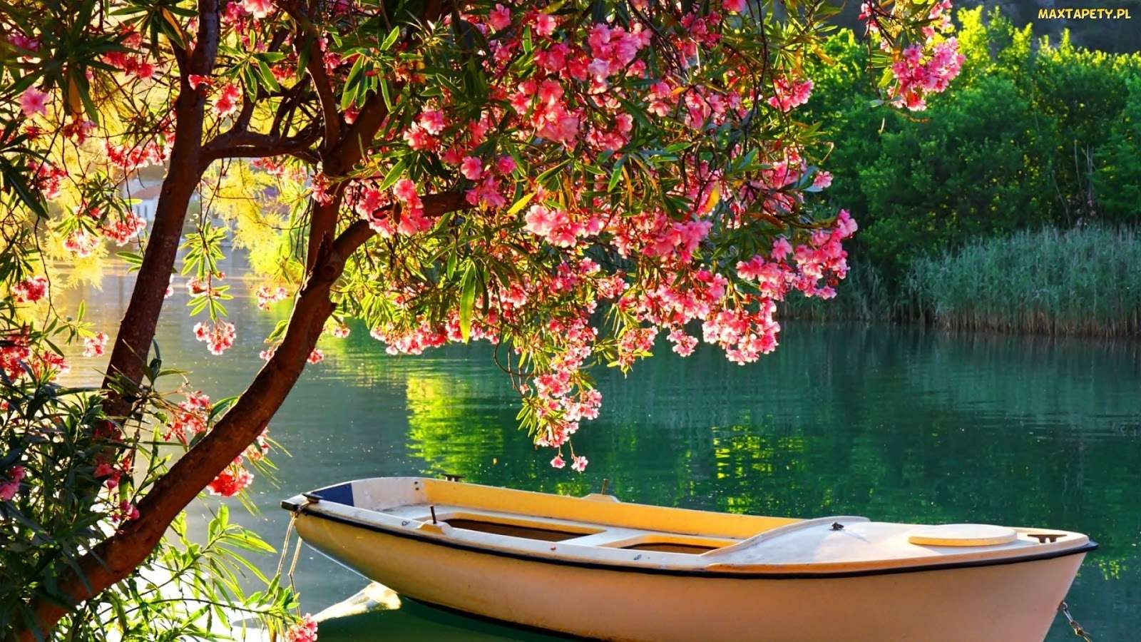 Blooming tree by the pond. jigsaw puzzle online