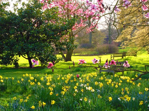 Английски парк през пролетта. онлайн пъзел