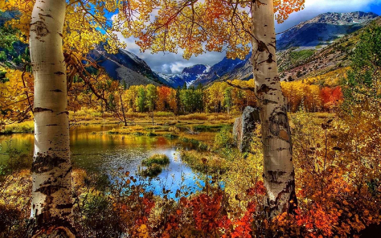 Herfst landschap. legpuzzel online