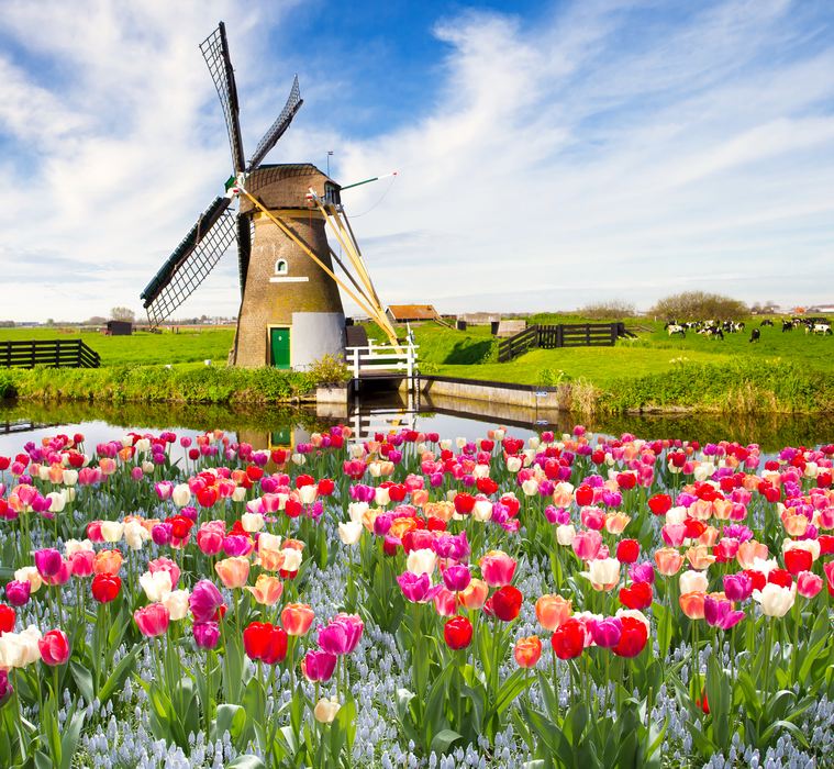 Landscape with a windmill. online puzzle