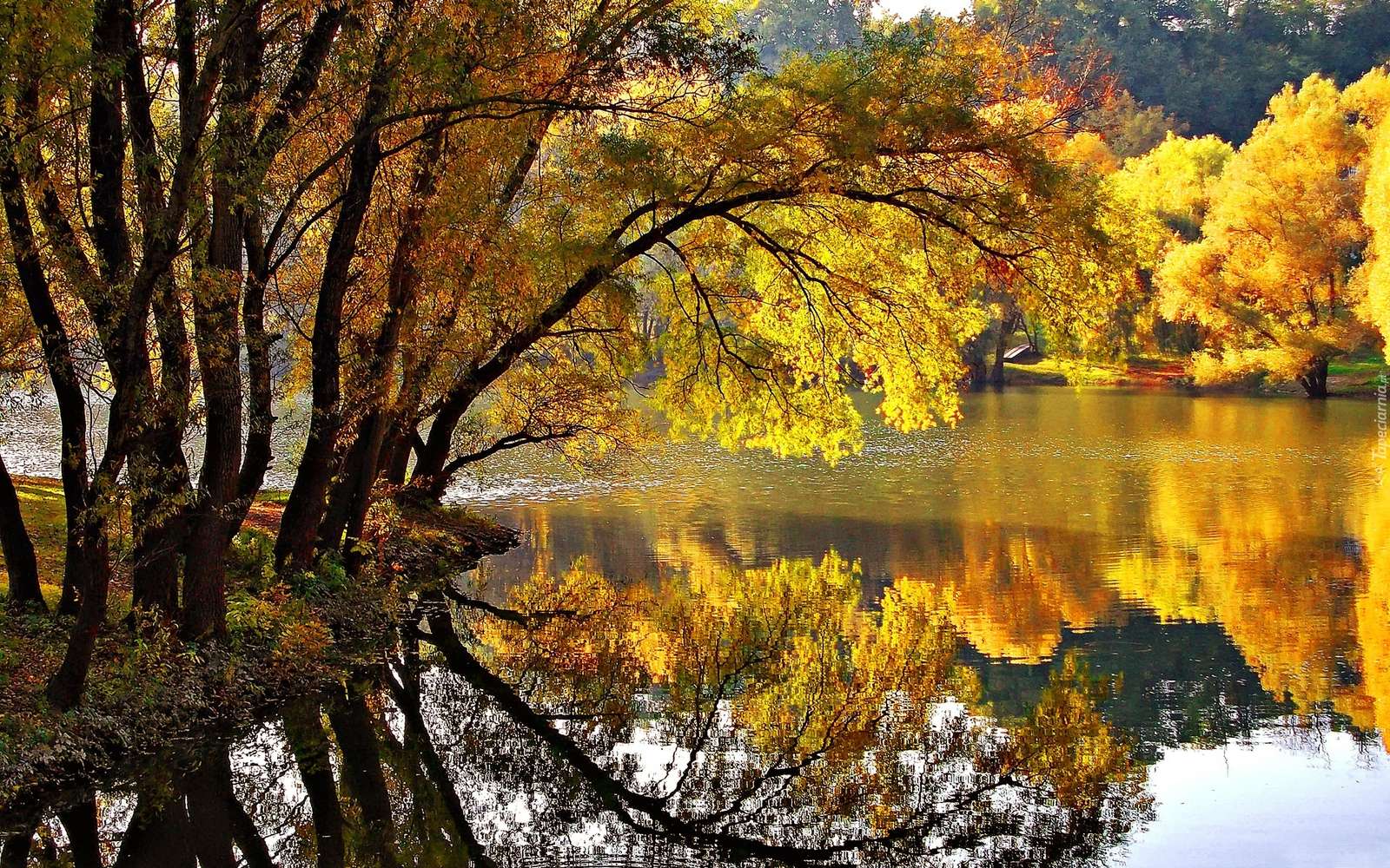 Pohled v podzimních barvách skládačky online