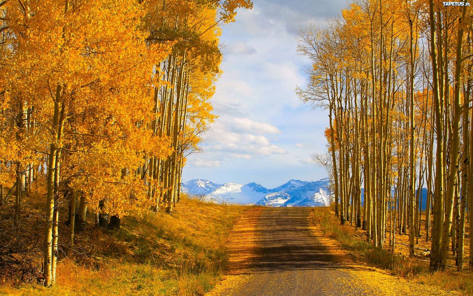 Road to the mountains. jigsaw puzzle online