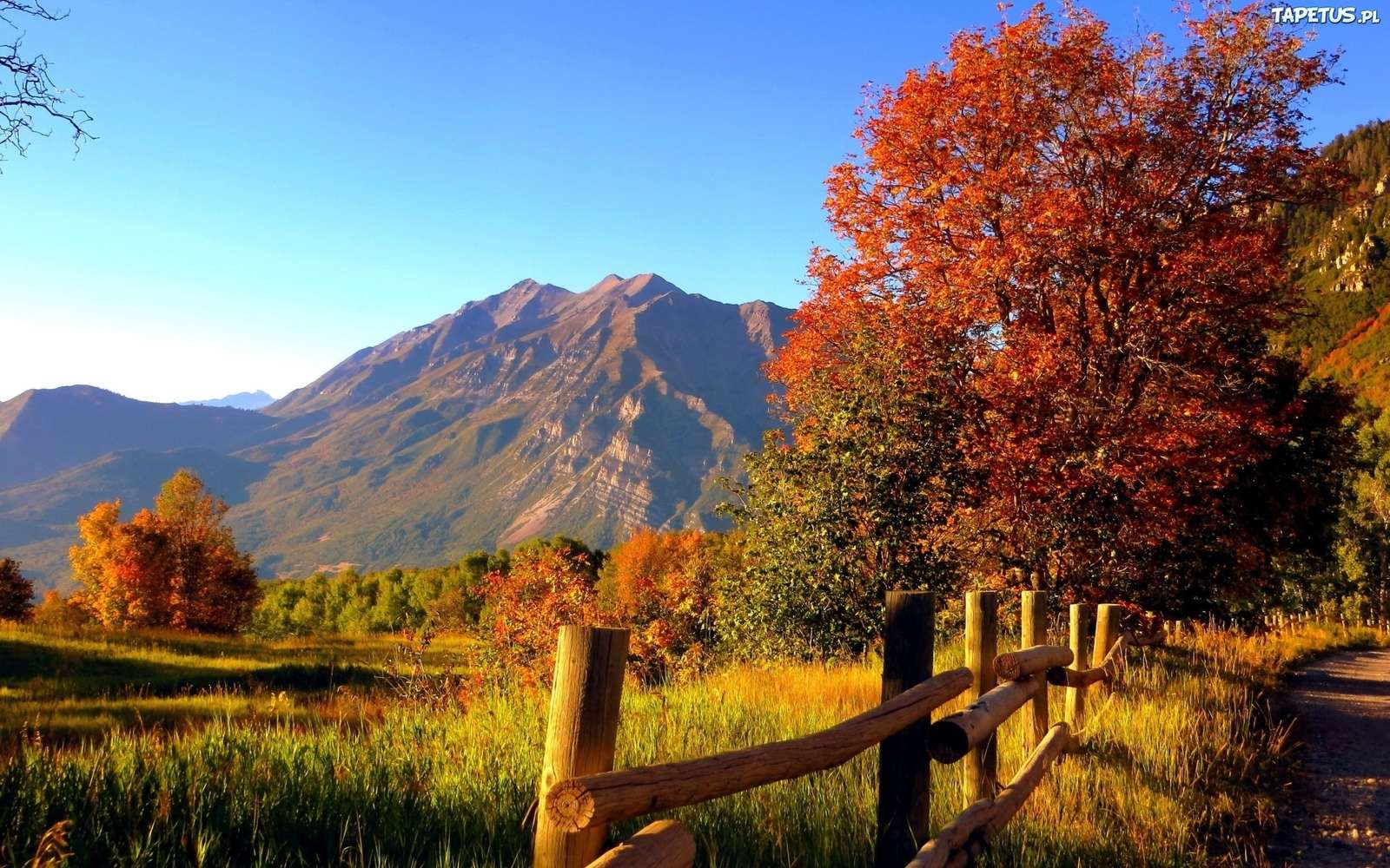 Fence by the road. jigsaw puzzle online