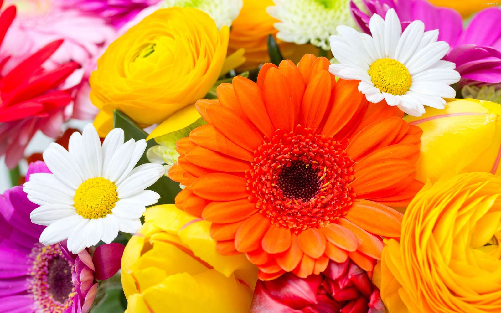 Kleurrijke bloemen legpuzzel online