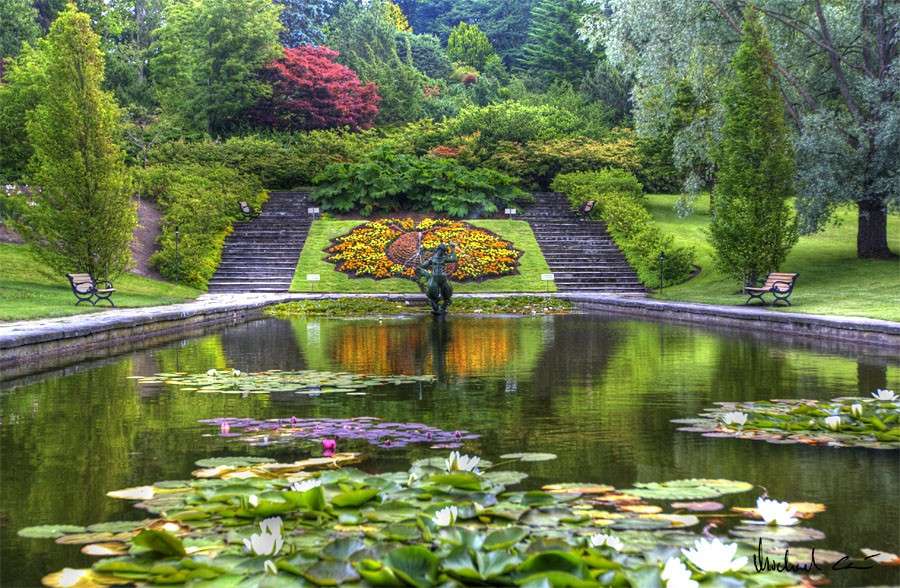 Βοτανικός κήπος στο Γκέτεμποργκ. online παζλ