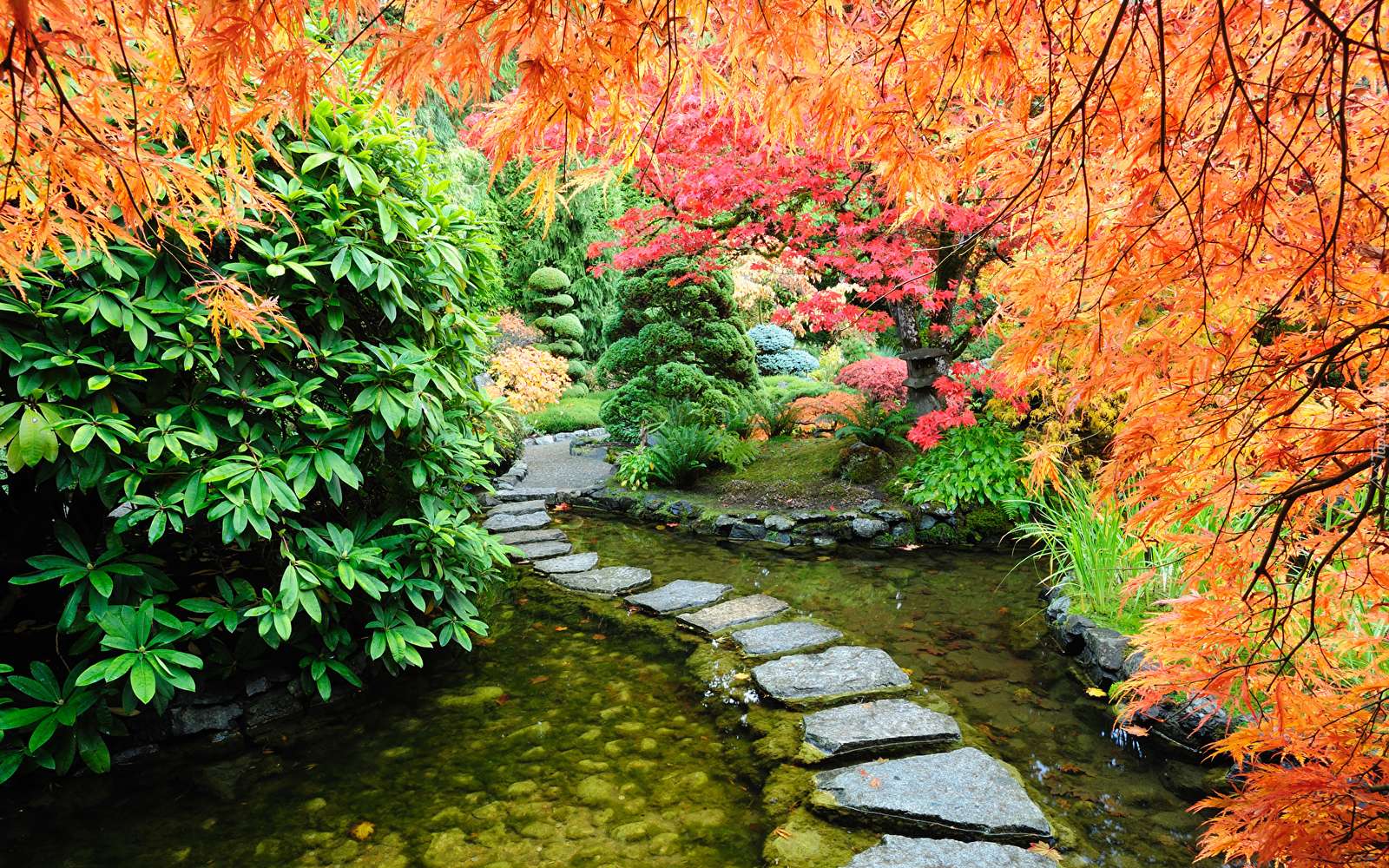 garden in autumn robe online puzzle