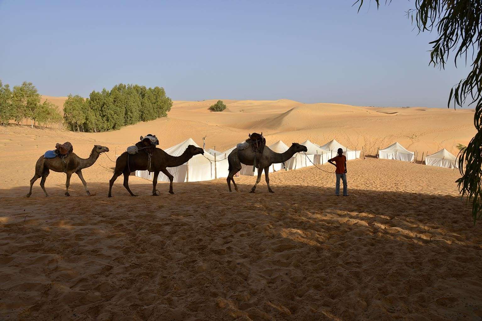 Пустинен пейзаж в Сенегал. онлайн пъзел
