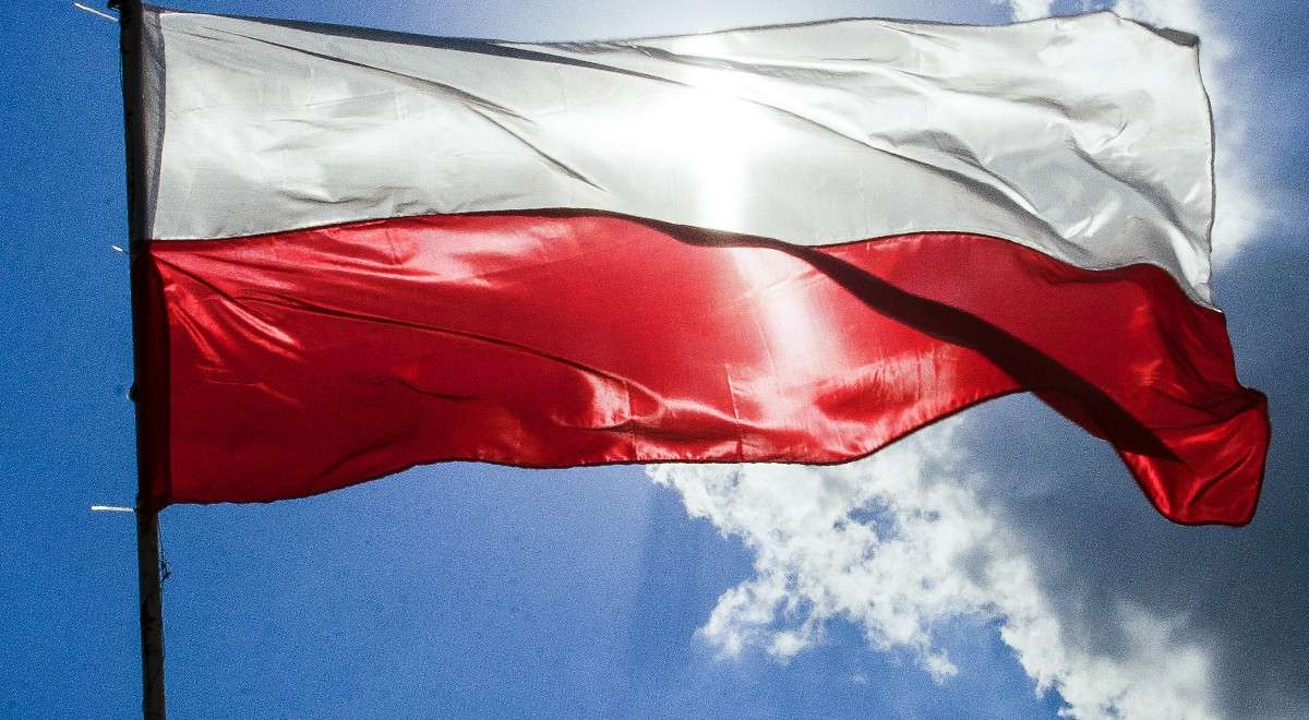 Polsk flagga pussel på nätet