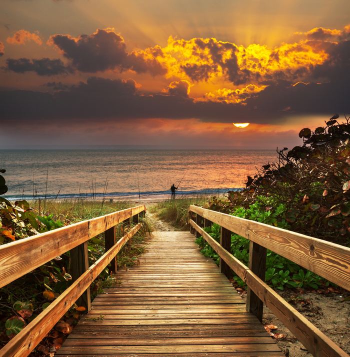 The path to the beach. online puzzle