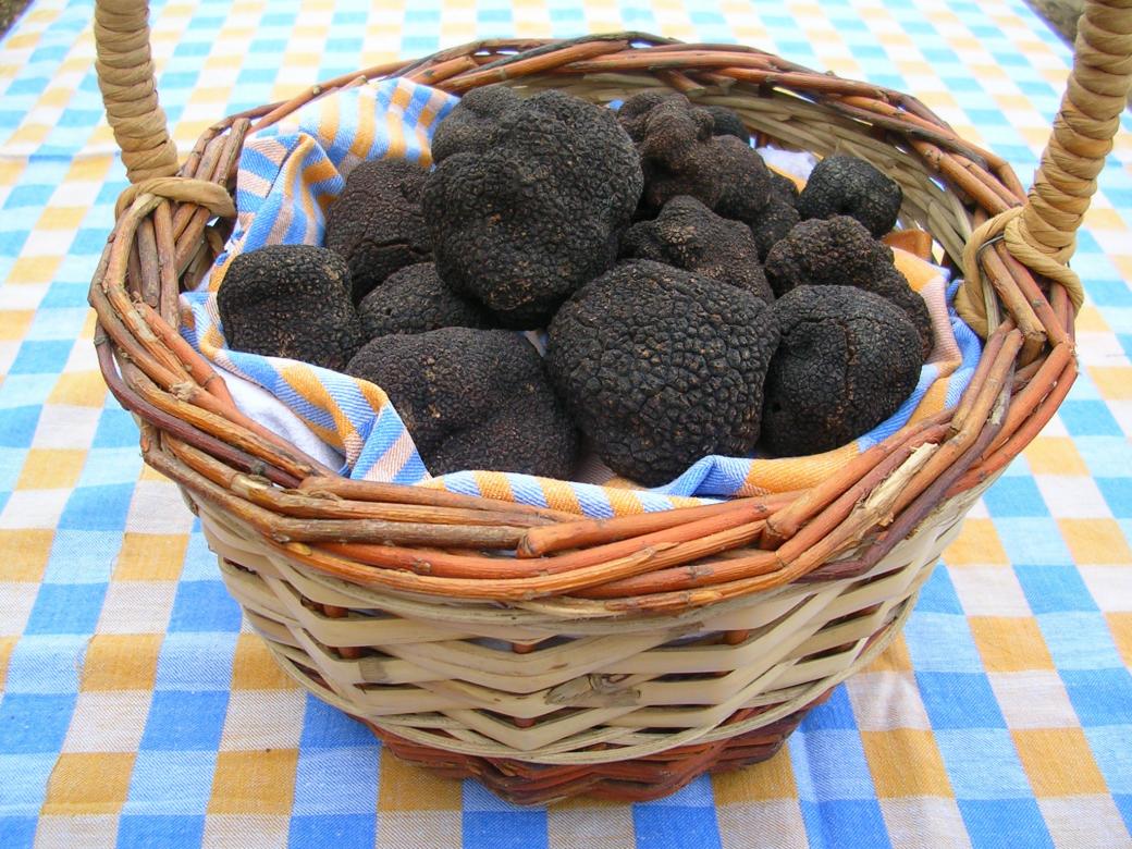 Black truffles. jigsaw puzzle online