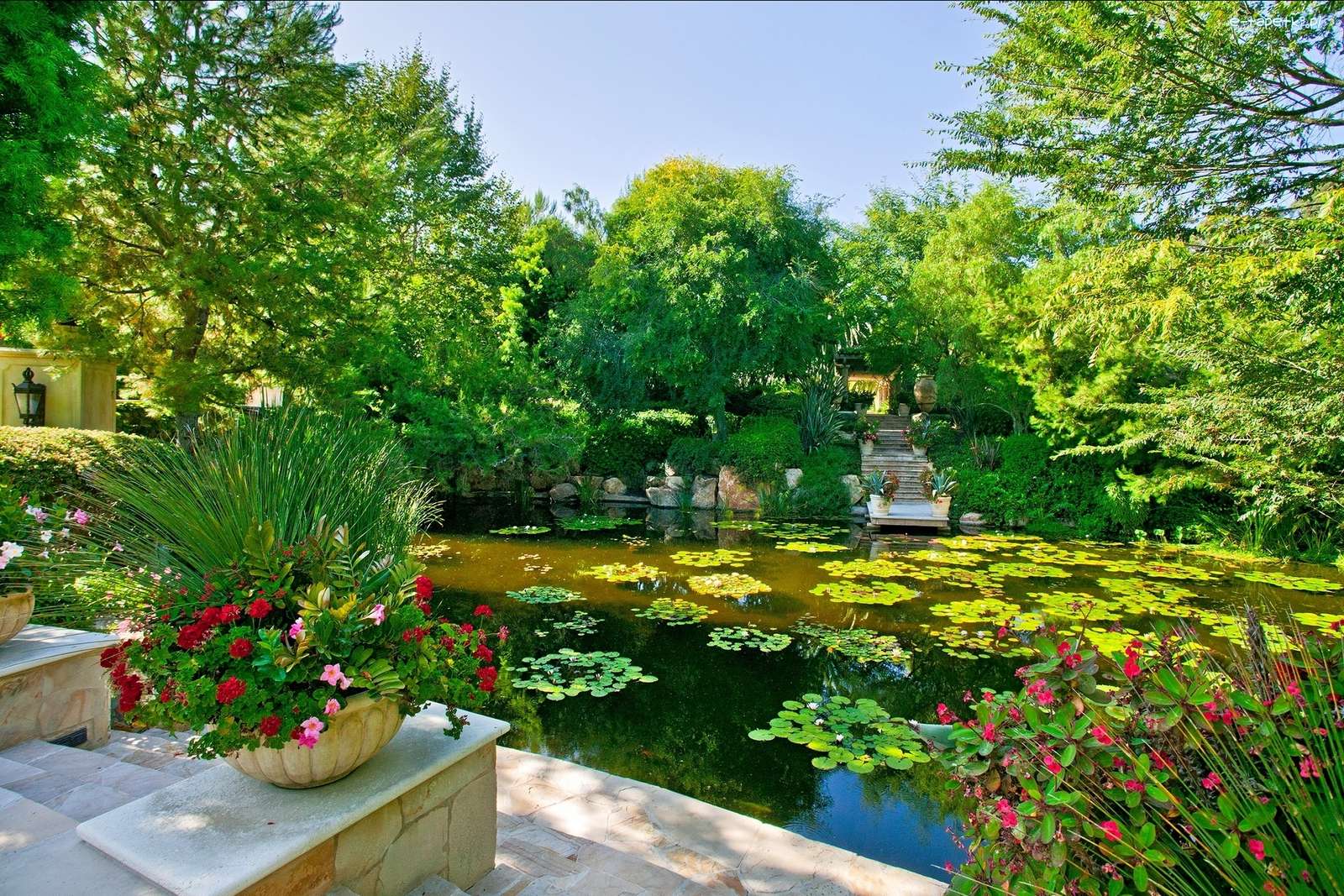Езерце в градината. онлайн пъзел