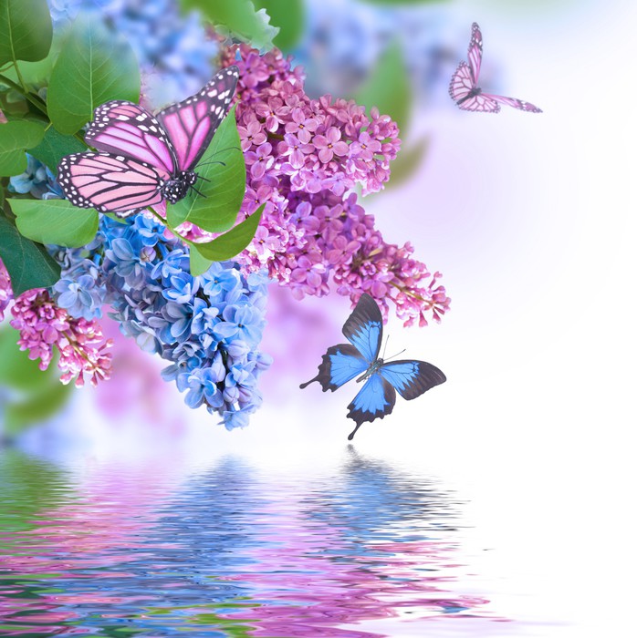 Lilas et papillons. puzzle en ligne