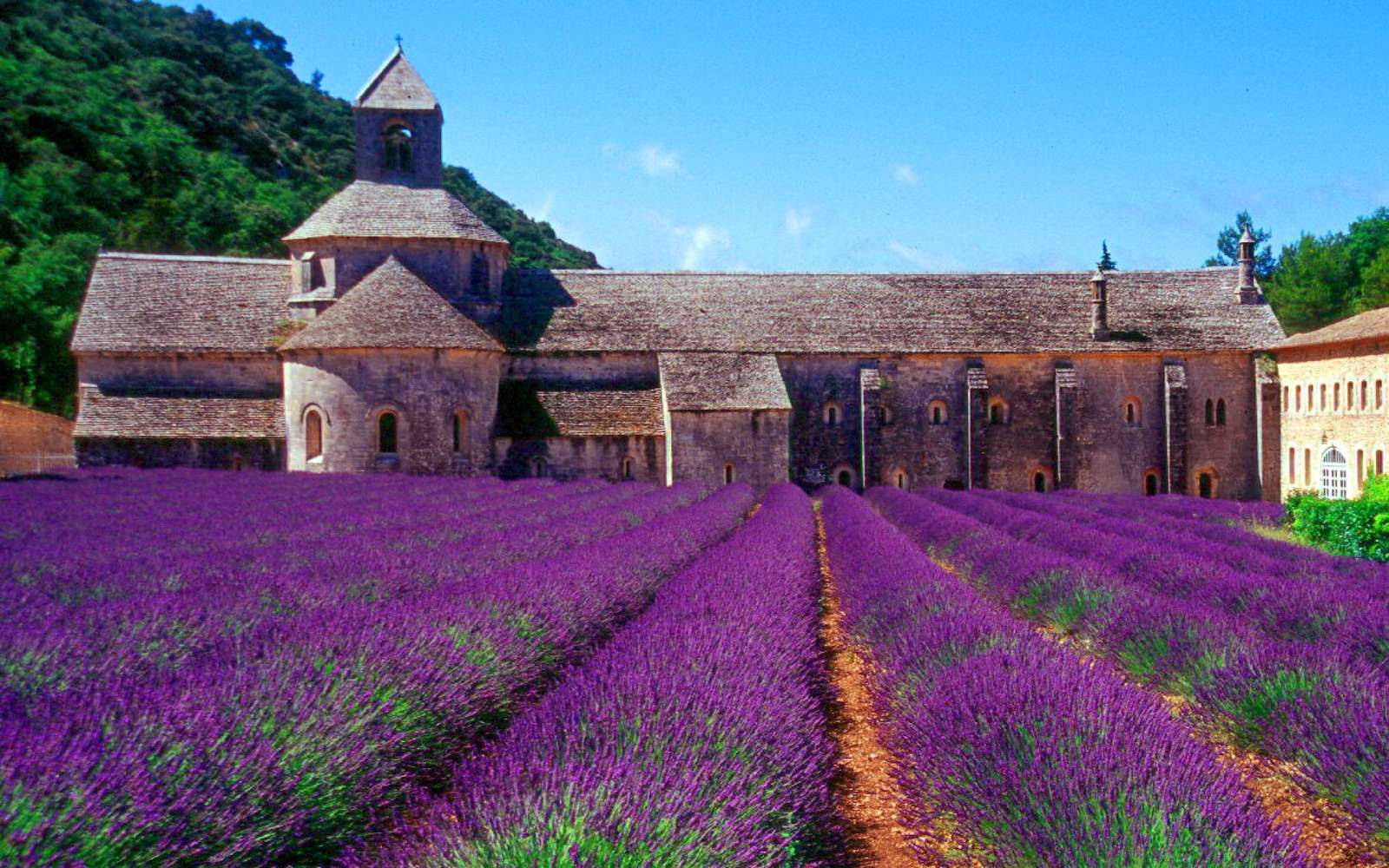 Provence. legpuzzel online